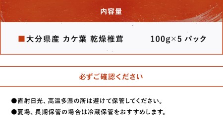 乾燥椎茸 カケ葉 椎茸 100g×5パック 干し椎茸 しいたけ 乾燥しいたけ 原木 大分県産 九州産 中津市 国産