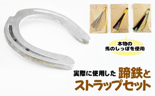 【ふるさと納税】 おすすめ 蹄鉄 ( 鉄 シルバー ) × 馬のしっぽの毛 ストラップ (栗毛) 馬蹄 馬 しっぽ 尾 本物 蹄 アクセサリー インテリア 日用品 置物 雑貨 幸運 厄除 お守り ラッキーアイテム 開運 うま ウマ グッズ 岩手県 滝沢市 送料無料 馬っこパーク・いわて