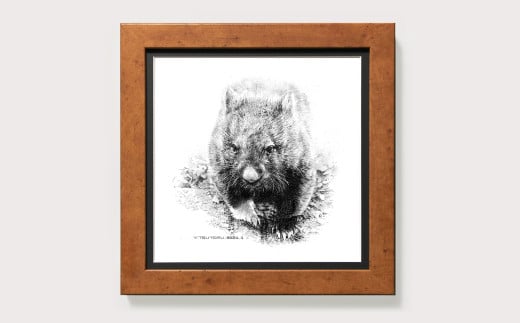 【77-01】ウォンバット（ユキ） 鉛筆画 原画