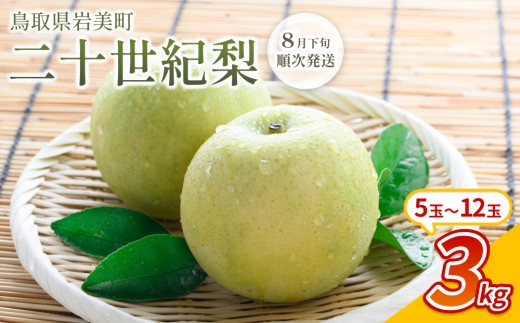 【先行予約】中野農園 梨 ”二十世紀梨” 3kg箱｜鳥取 岩美 梨 なし ナシ 20世紀梨 青梨 果物 フルーツ ※お届けは2026年8月下旬頃～【41025】