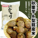 【ふるさと納税】砂里芋 さりいも Lサイズ 2.5kg 里芋 さといも コシヒカリ 2kg JA北新潟 北新潟農業協同組合 聖籠産米・砂里芋セット【JA北新潟ブランド里芋】2024年11月中旬頃～発送予定