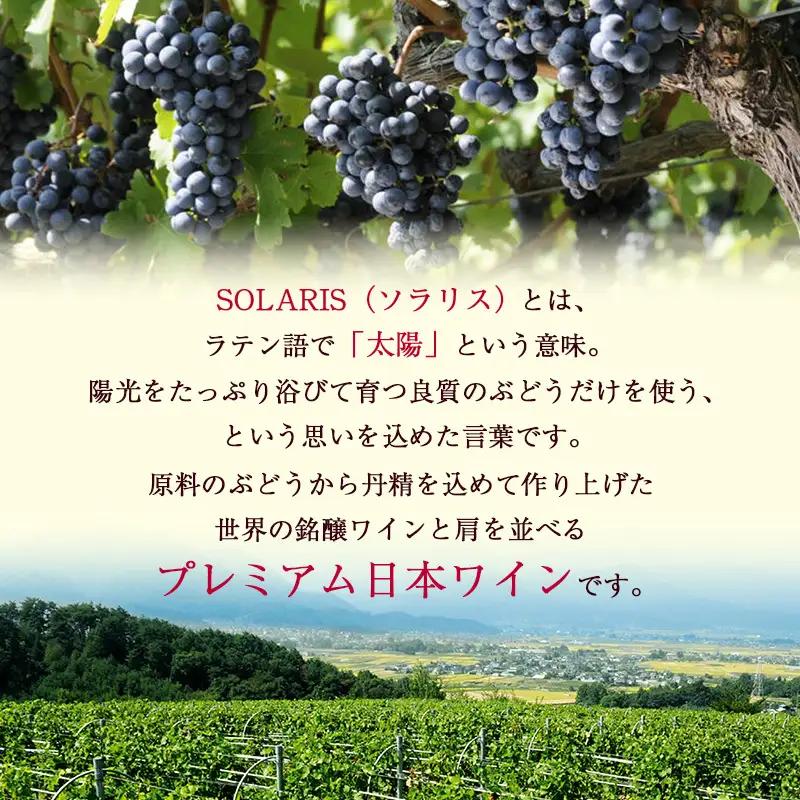 信州ワイン 千曲川 メルロー 750ml×6本 信州ワイン