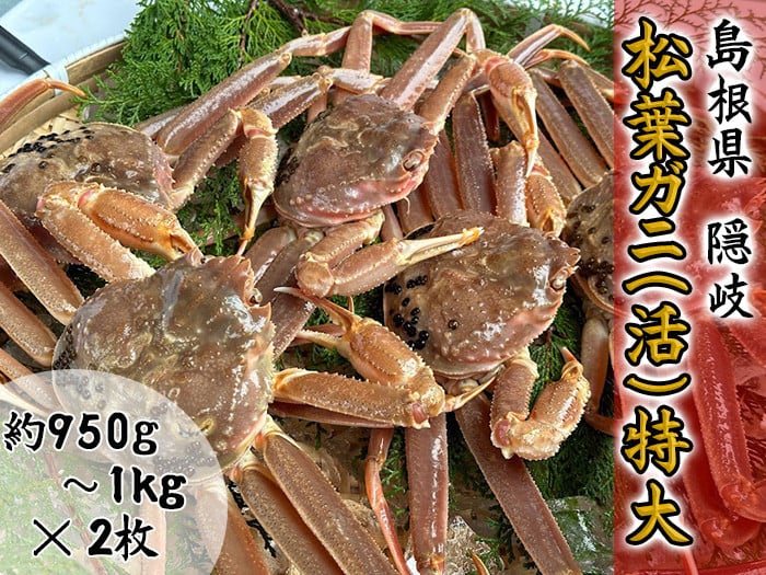 
            2701　【木村鮮魚店提供】　隠岐松葉ガニ特番サイズ（活）　２枚
          