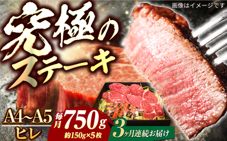 【3回定期便】長崎和牛ヒレステーキ 750g[ECS038] ヒレ 牛肉 定期便