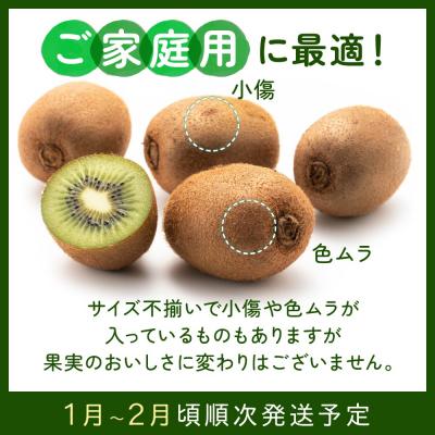 ふるさと納税 新宮町 キウイフルーツ(グリーン)3kg程度/2027年1月〜2月配送予定.AC196 |  | 02