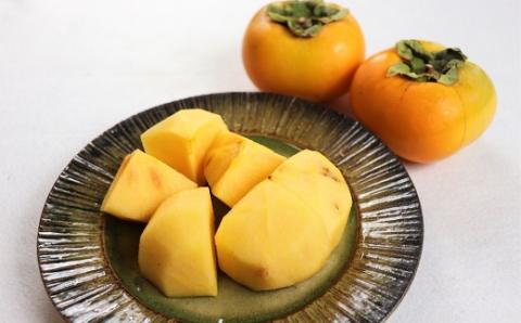 食の都庄内【令和7年産】《8・9・10月お届け-A》旬のフルーツの3ヶ月定期便 《8・9・10月お届け-A》