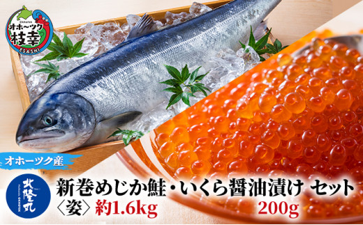 
北隆丸 新巻めじか鮭〈姿〉約1.6kg・いくら醤油漬け200gセット オホーツク枝幸産
