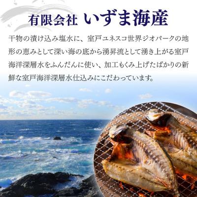 ふるさと納税 室戸市 【定期便 毎月12回】 干物 黒潮セット (アジ・カマス・スルメイカ)詰め合わせセット |  | 03