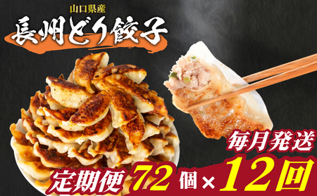 訳あり 長州どり餃子 72個 定期便 毎月12回 餃子 ギョウザ IB
