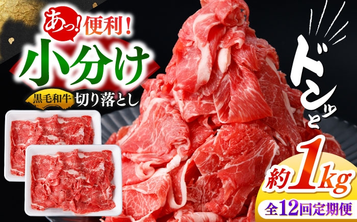 
                  【12回定期便】国産 黒毛和牛 熟成肉 切り落とし計1kg（500g×2パック）/ 小分け 国産牛 お肉 牛肉 切落し 冷凍 焼肉 すき焼き / 南島原市 / ふるさと企画 [SBA097]
                