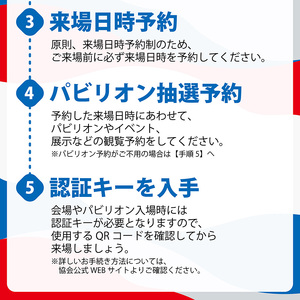 大阪・関西万博 入場チケット 特別割引券 （ 中人 ） 2025年日本国際博覧会 大阪 関西 万博 関西万博 入場券 大阪万博