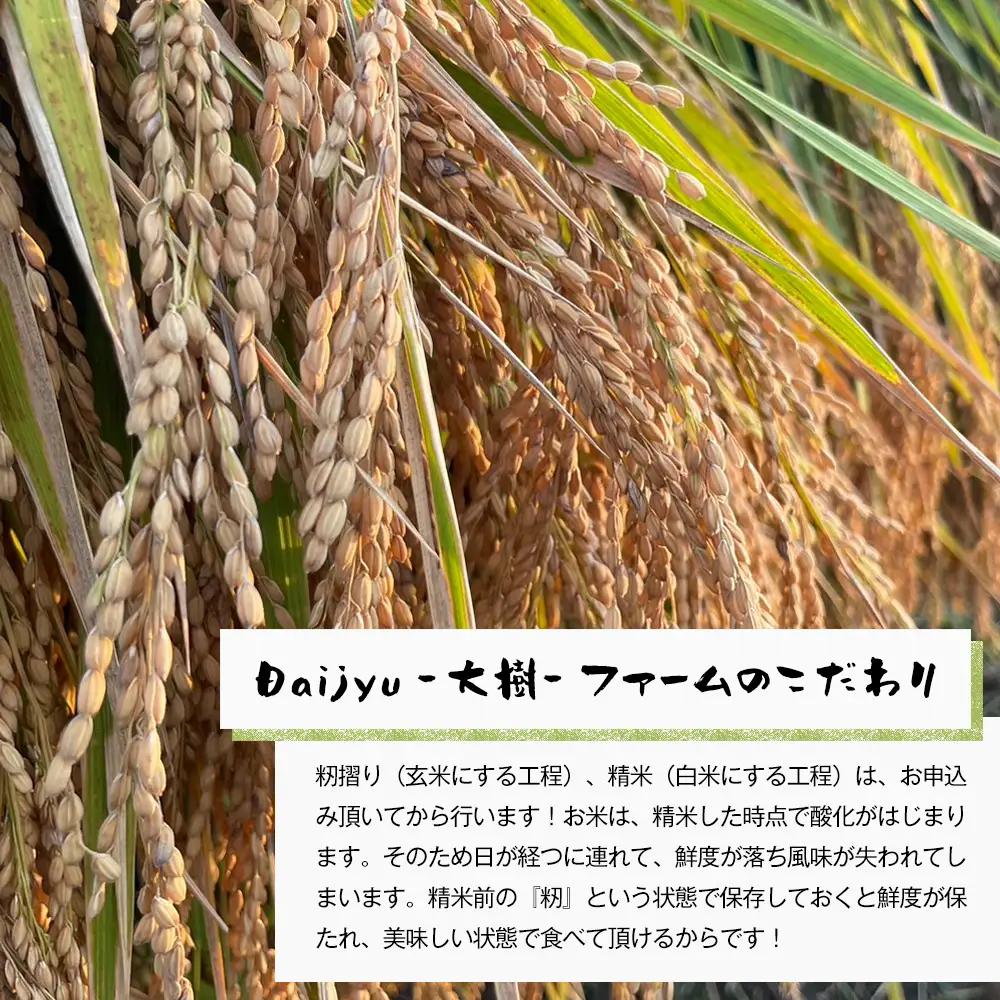 【定期便6ヶ月】自然栽培　ひのひかり（白米）　5kg
