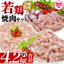 【ふるさと納税】＜宮崎県産若鶏焼肉セット 約4.2kg＞ 国産 鶏 肉 精肉 モモ もも肉 使いやすい パック 真空冷凍 切り身 選べる数量 お弁当 惣菜 からあげ 照り焼き 数量限定 BBQ バーベキュー セセリ せせり レバー 砂肝 肝 てば 手羽中 小分け 【MI445-tr】【TRINITY】