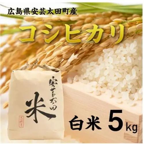 【令和8年産】コシヒカリ　白米5kg【1441113】