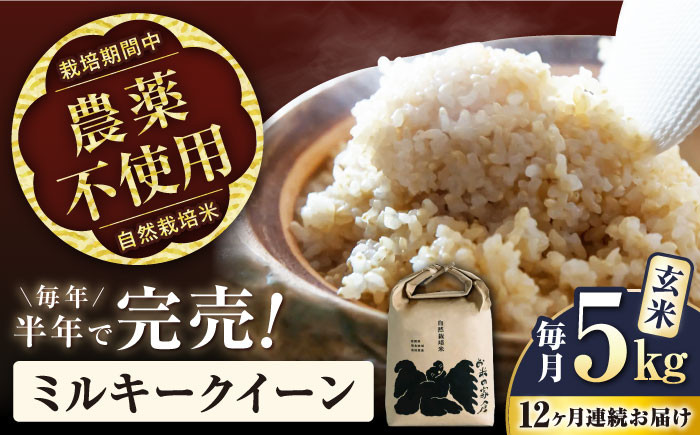 
            【令和7年産新米】【全12回定期便】ミルキークイーン 5kg 玄米 自然栽培米  滋賀県長浜市/株式会社お米の家倉 [AQCP017] 米 定期便 玄米  5kg ミルキークイーン 自然栽培米  滋賀県産 長浜市産 こめ お米 新米 食品 ふるさと納税 国産 炊きたて 米ギフト もちもち ブランド米  食卓 美味しい 産地直送 節約 人気
          