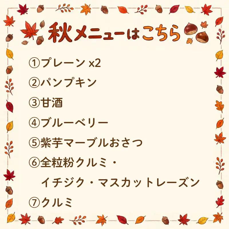 ベーグル 8個 セット ベーグル ラクダピクニック 【RP0011】