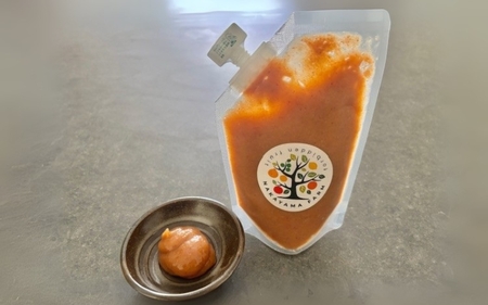 南高梅肉チューブ 180g×3 / ねり梅 練り梅 紀州南高梅 南高梅 調味料 梅肉 和歌山県 田辺市 【nak046】