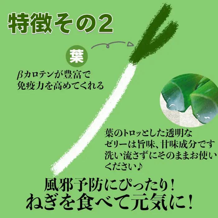 出雲神在（かみあり）ねぎ