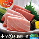 【ふるさと納税】【全6回定期便】本マグロ 極海一番 計1.8kg （約300g×6回） 平戸市 / 囲炉裏料理 エビス亭 [KAC136]