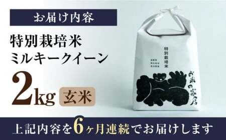 【令和6年度産】【全6回定期便】特別栽培米ミルキークイーン　2kg玄米×6回　滋賀県長浜市/株式会社お米の家倉[AQCP023] 玄米 玄米 玄米 玄米 玄米