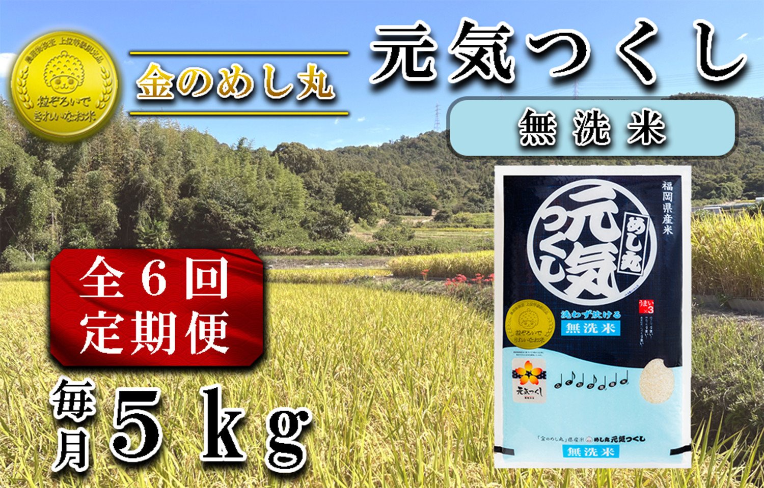 
            CE-085_【定期便６回】令和７年米〈無洗米〉　金のめし丸元気つくし 5Kg（1袋）×６回
          
