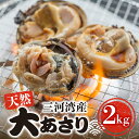 【ふるさと納税】天然大アサリ 約2kg だし醤油 CAS冷凍 半割処理済 海鮮バーベキュー 特製だし醤油付き 海鮮バーベキュー BBQ 三河湾産 天然 大アサリ あさり 国産 アサリ 愛知県 田原市 新鮮 砂抜き 海鮮 魚介類 魚介 貝 冷凍 人気