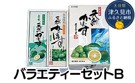 バラエティーセットB（天然かぼす 1L×1本・ はちみつ入り かぼす果汁 1L×1本） かぼす果汁100％ | 津久見市
