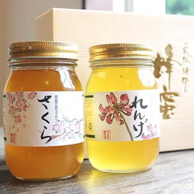 ふるさと納税 小郡市 はちみつ 国産 天然 純はちみつ 600g×2本 さくら&amp;れんげ[No5354-0293]