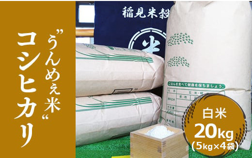 
[令和6年度産] 栃木県上三川町産コシヒカリ・白米20kg（5kg×4袋）◇ | 国産 栃木県産 コシヒカリ 米 お米 単一原料米 精米 白米 栃木米 とちぎ米 産地直送 送料無料　※離島への配送不可
