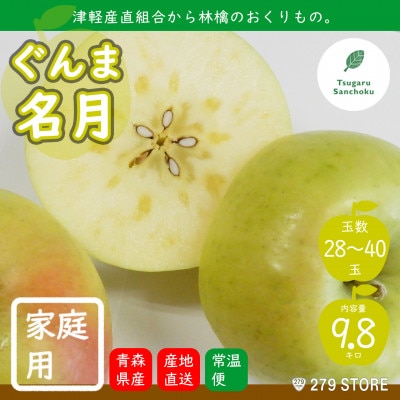 10月下旬頃発送 ぐんま名月 家庭用 10キロ箱 9.8kg 28～40玉 津軽りんご 産地直送【配送不可地域：離島】