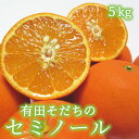 【ふるさと納税】【訳あり】セミノールオレンジ 約5kg【農家直送】【先行予約】【和歌山県産】【訳あり】【2025年4月上旬～4月下旬発送】 | フルーツ 果物 くだもの 食品 人気 おすすめ 送料無料 先行予約 数量限定 家庭用 訳あり オレンジ 柑橘