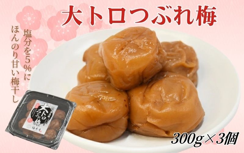 
                  紀州南高梅 大トロつぶれ梅 300g×3個／塩分5％　 mryms003
                