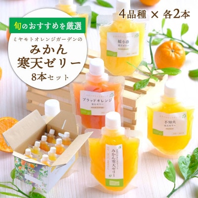愛媛の柑橘4品種を厳選!旬のおすすめ みかん寒天ゼリー8本セット【C25−30】【1148321】