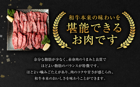 【GI認証】 くまもとあか牛 焼肉用 500g お肉 牛 焼肉 赤身 バーベキュー