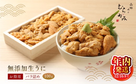 「うにむらかみ」無添加生うにお得用バラ詰め100g 【 ふるさと納税 人気 おすすめ ランキング うに ウニ 雲丹 海栗 塩水ウニ 塩水うに キタムラサキウニ バフンウニ うに丼 海鮮 ミョウバン 不使用 北海道 北斗市 送料無料 】 HOKT001