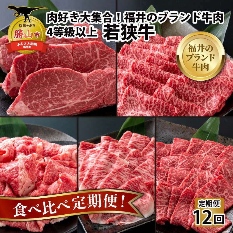 【ふるさと納税】【肉の定期便×12回コース】肉好き大集合！若狭牛 食べ比べ 定期便！【福井のブランド牛肉】【4等級以上】| 焼き肉 すき焼き しゃぶしゃぶ もも ロース サーロイン 国産 冷凍 お取り寄せ