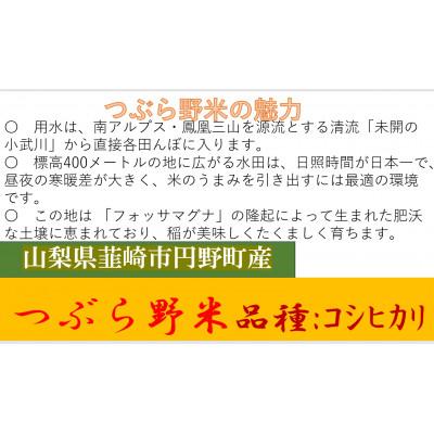 ふるさと納税 韮崎市 【毎月定期便】つぶら野米(品種:コシヒカリ) 白米3kg 定期10ヶ月(計30kg)全10回 |  | 01
