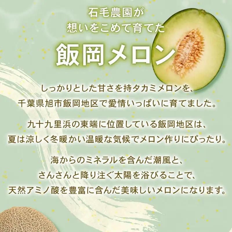 訳あり タカミメロン 青肉 赤肉 飯岡メロン セット 5.5kg 【 メロン 】 食べ比べ