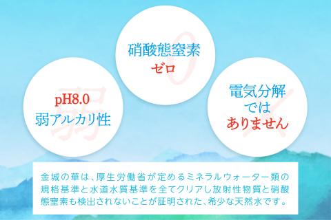 純天然アルカリイオン水 7年保存水500ml 24本入 2箱＜4月下旬以降発送予定＞ ミネラルウォーター 軟水 水 長期保存 飲料水 防災 備蓄 備蓄水 非常用 保存用 防災用 天然水【1830】