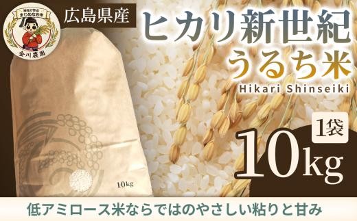 
                  ヒカリ新世紀（うるち米）10kg 米 お米 コメ ご飯 ごはん 238008
                
