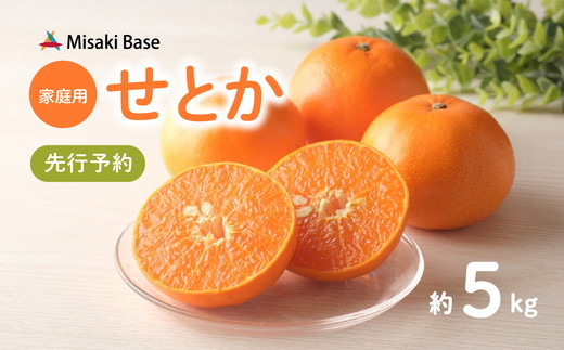 
            【先行予約】【家庭用】せとか 約5kg ｜ みかん 柑橘 ミカン 蜜柑 mikan 果物 フルーツ 糖度 甘い 清見 きよみ アンコール 規格外 おすそ分け 愛媛県 伊方町 Misaki Base 訳あり ※離島への配送不可 ※2025年3月上旬～3月中旬頃に順次発送予定
          