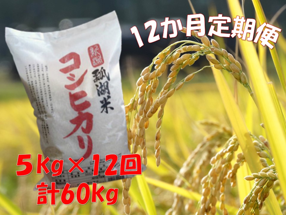 【令和6年産新米】【12ヶ月定期便】新潟産 コシヒカリ「瓢湖米」 5kg×12回 1N10127