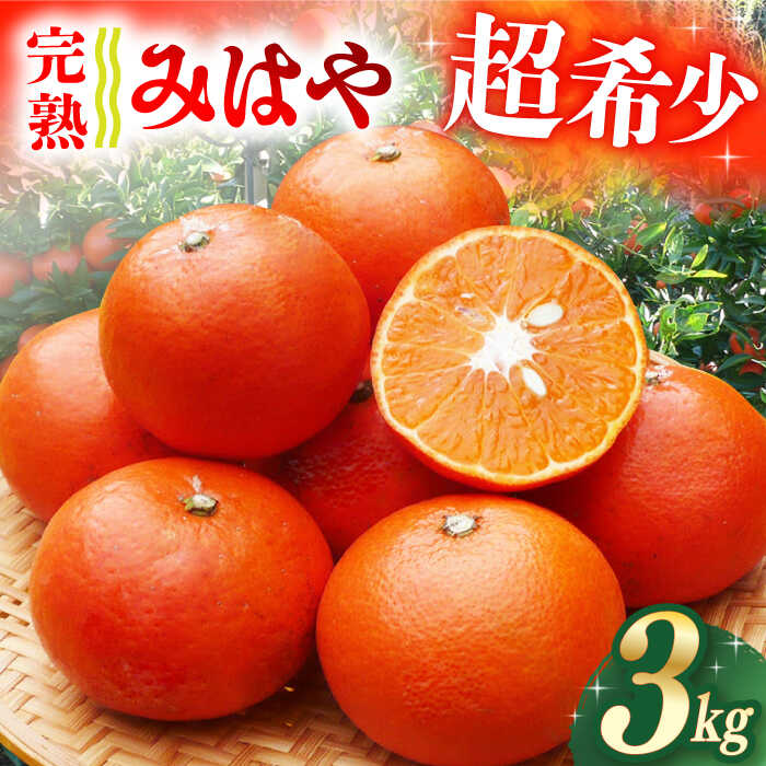【ふるさと納税】【ご家庭用】 みはや 3kg ー2025年12月より発送ー 長与町/果豊園 [ECL004] みかん ミカン 柑橘 フルーツ 果物 完熟 季節限定 家庭用 先行予約 長崎県産 長与町