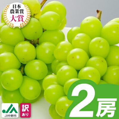 【ふるさと納税】【2026年発送】訳ありシャインマスカット2房1kg以上　JA中野市から産直【配送不可地域：離島】【1716008】