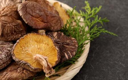 大分産 椎茸こうしん 50g×6袋 合計300g 原木乾しいたけ きのこ