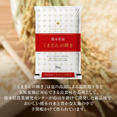 ふるさと納税 八代市 【先行予約】【令和7年産】≪新米≫ 熊本県産 くまさんの輝き 10kg(5kg×2袋)八代食糧 |  | 01