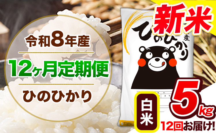 【12ヶ月定期便】令和8年産 新米 定期便 白米 ひのひかり 5kg 《12月から出荷開始》令和8年産 新米 熊本県産｜人気米 熊本県産米 お米米---gkt_lcl_817_dec12---
