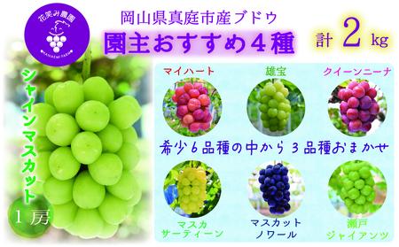 岡山 花笑み農園『園主おすすめぶどう4種セット』(4房) 4M-2R【hana69】