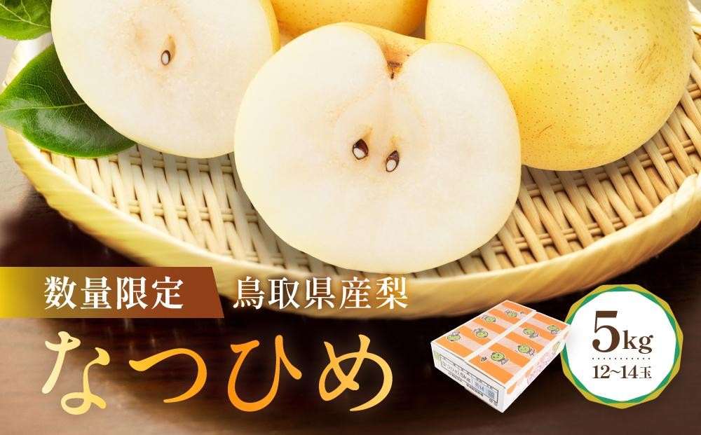 
                  数量限定 鳥取県産梨 なつひめ 5kg（12～14玉） 国産 なつひめ 鳥取県産なつひめ 梨 国産梨 鳥取県産梨 先行予約 梨先行予約 梨5kg 5kg 新鮮 旬 フルーツ 果物 くだもの 人気 おすすめ 鳥取 琴浦町 送料無料
                