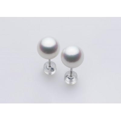 ふるさと納税 長崎市 PT900 / 7.5mm アコヤ真珠　ピアス
